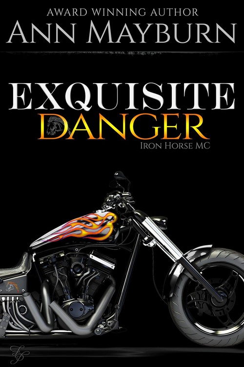 Exquisite Danger by Ann Mayburn