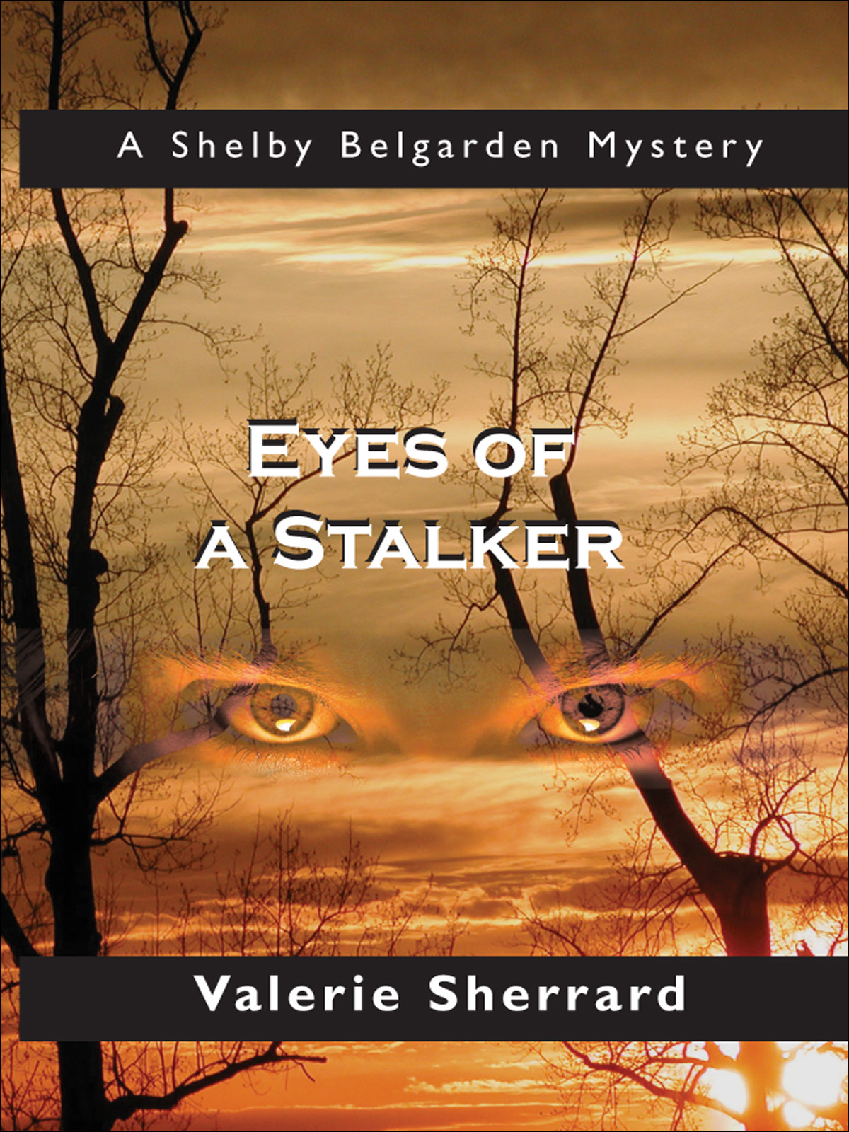 Eyes of a Stalker by Valerie Sherrard