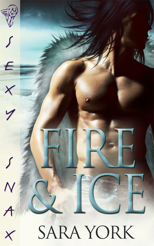 Fire and Ice (2012) by Sara York