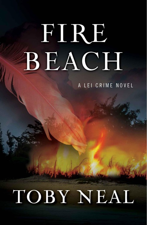 Fire Beach: Lei Crime Book 8 (Lei Crime Series)