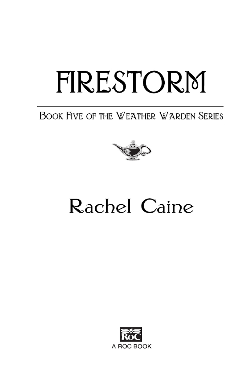 Firestorm (2010) by Rachel Caine