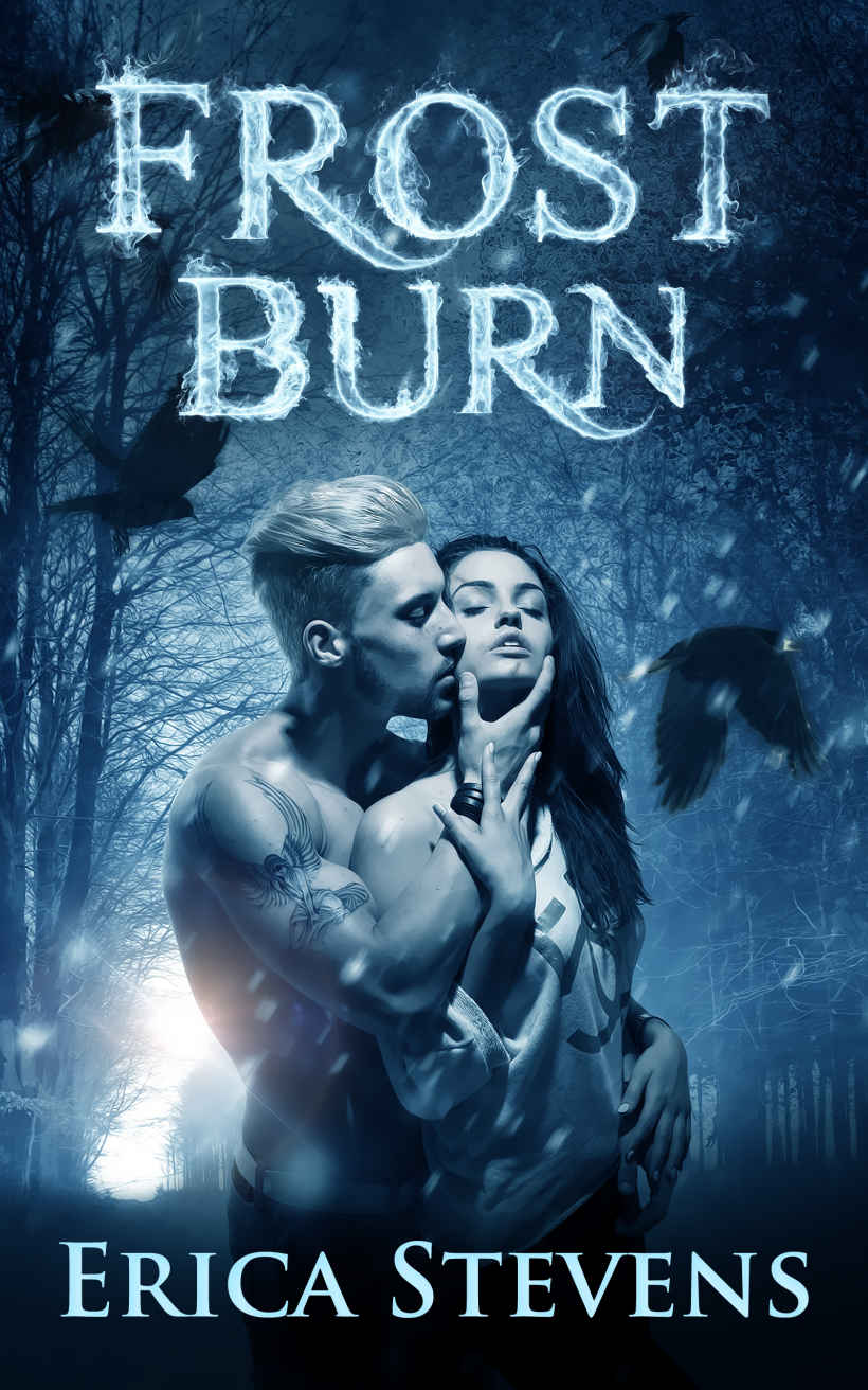 Frost Burn (The Fire and Ice Series, Book 1) by Erica Stevens