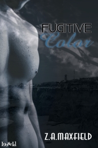 Fugitive Color (2010) by Z.A. Maxfield