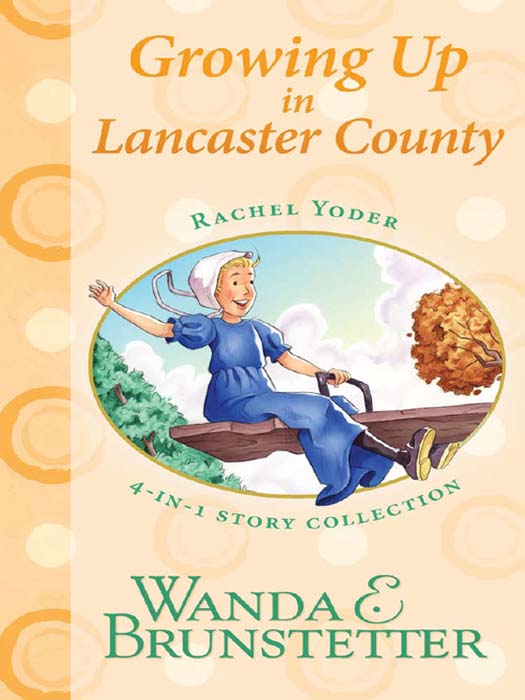 Growing Up in Lancaster County (2009) by Wanda E. Brunstetter