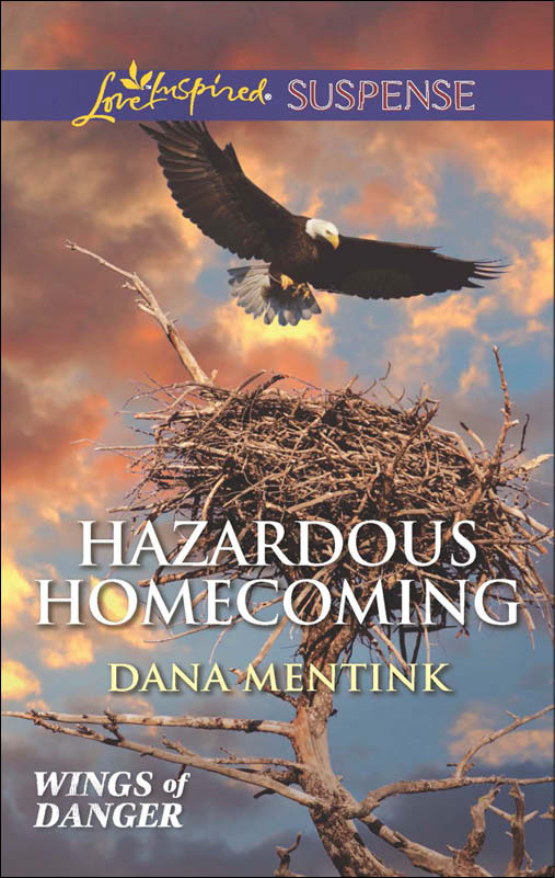 Hazardous Homecoming (2014) by Dana Mentink