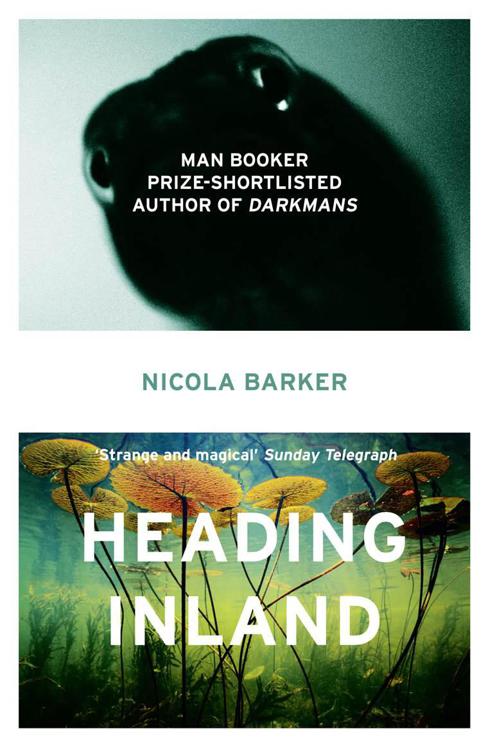 Heading Inland by Nicola Barker