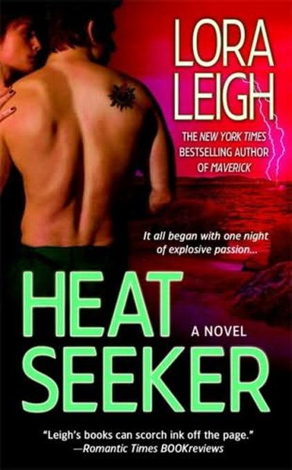 Heat Seeker by Lora Leigh