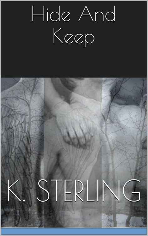 Hide And Keep by K. Sterling