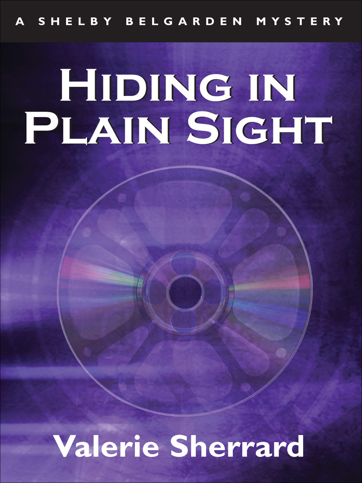 Hiding in Plain Sight (2005) by Valerie Sherrard