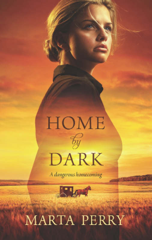 Home by Dark (2012) by Marta Perry