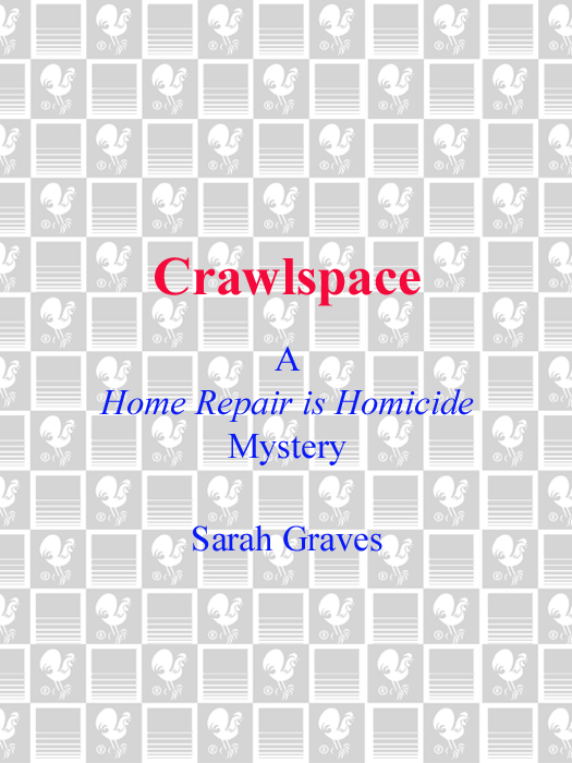 Home Repair is Homicide 13 - Crawlspace by Sarah Graves