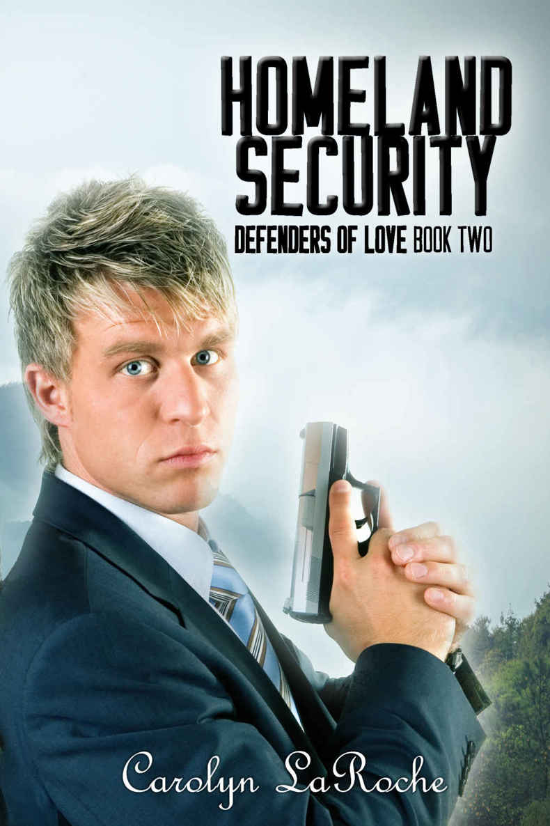 Homeland Security (Defenders of Love Book 2) (2015)