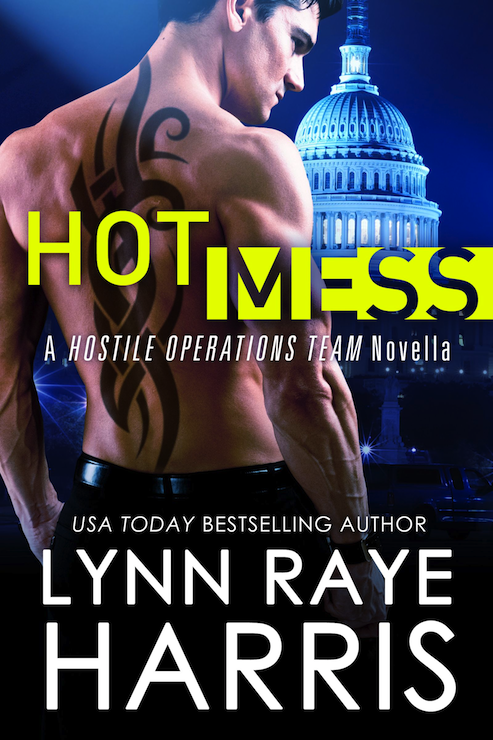 Hot Mess (2013) by Lynn Raye Harris