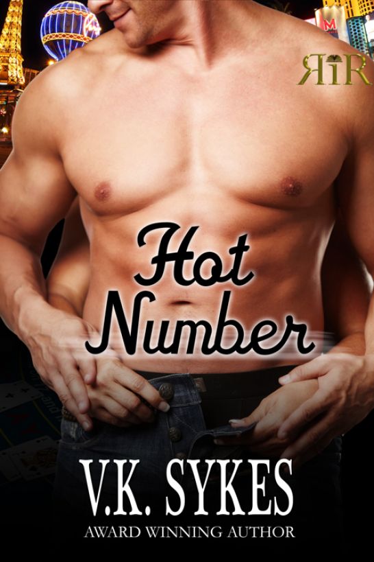 Hot Number by V.K. Sykes
