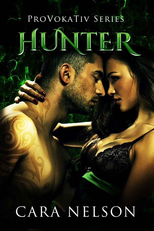 Hunter: Rockstar Romance (The ProVokaTiv Series Book 2)