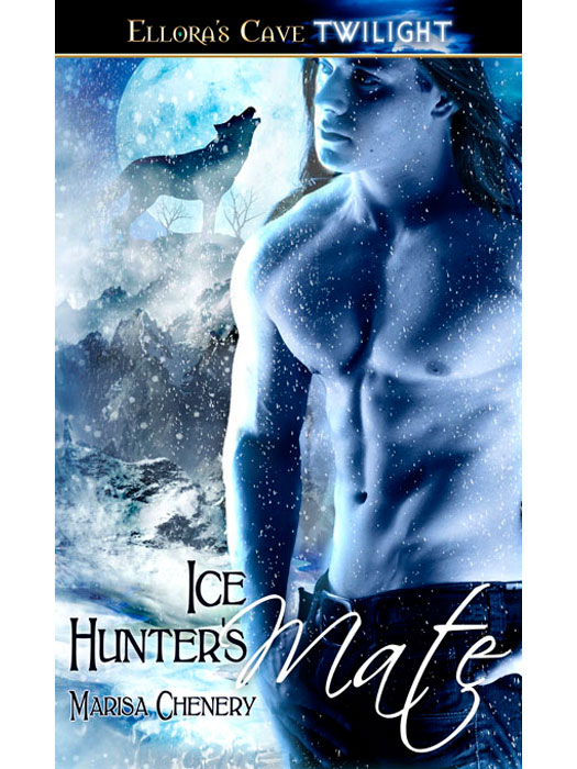 IceHuntersMate (2012) by Marisa Chenery