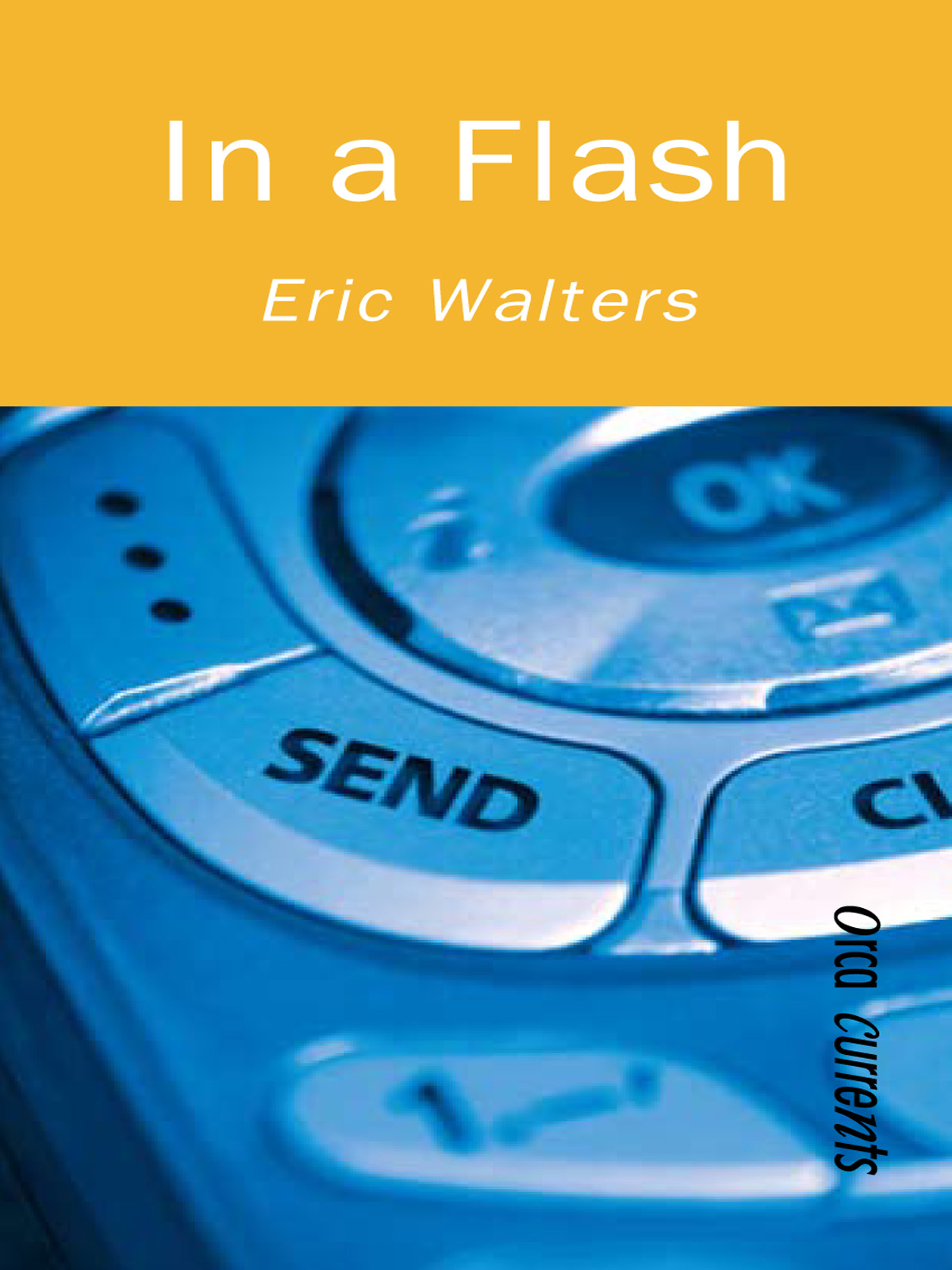 In a Flash (2008) by Eric Walters