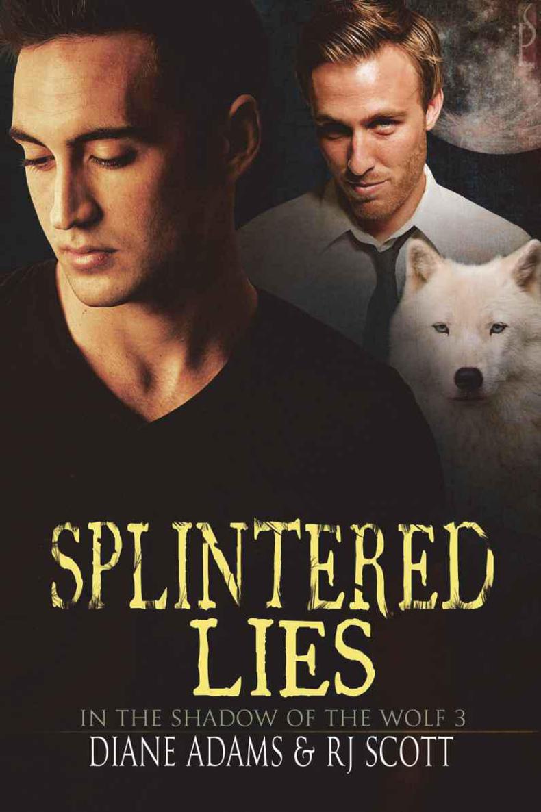 In the Shadow of the Wolf 3 - Splintered Lies by Diane  Adams