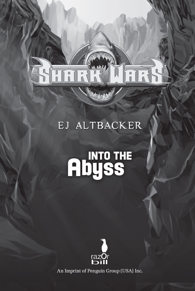 Into the Abyss (2012) by E.J. Altbacker