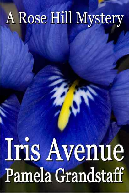Iris Avenue by Pamela Grandstaff