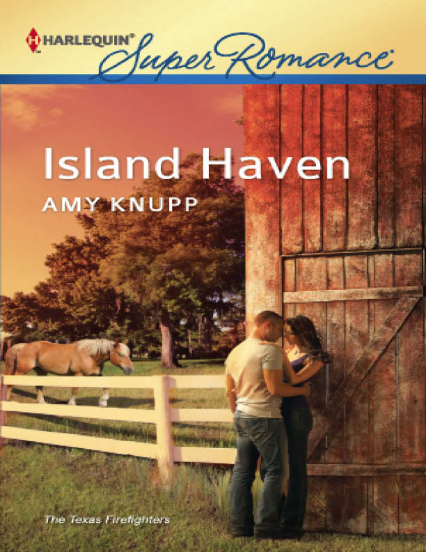 Island Haven (2012) by Amy Knupp