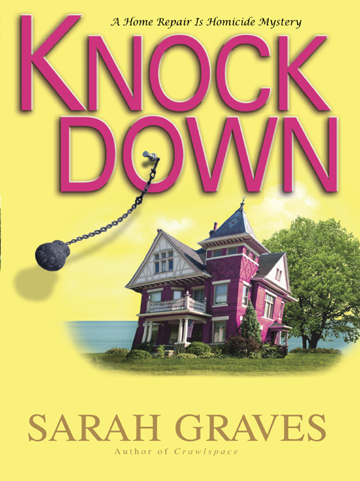 Knockdown: A Home Repair Is Homicide Mystery by Sarah Graves