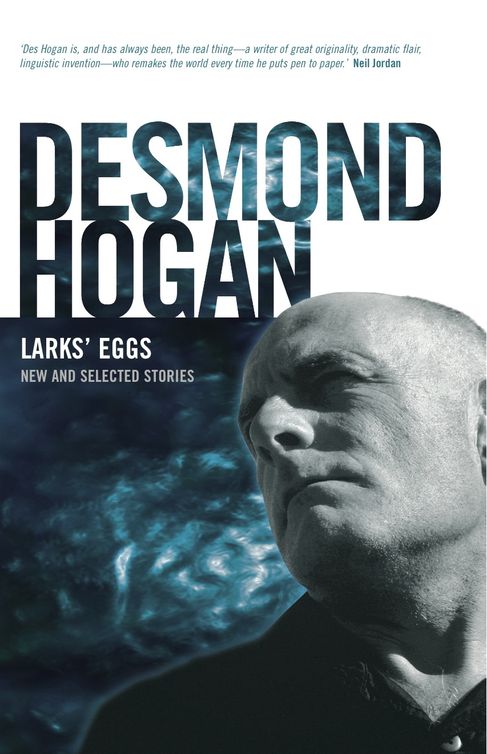 Lark's Eggs (2011) by Desmond Hogan