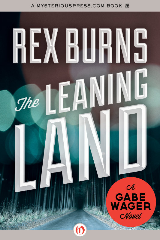 Leaning Land (2012) by Rex Burns