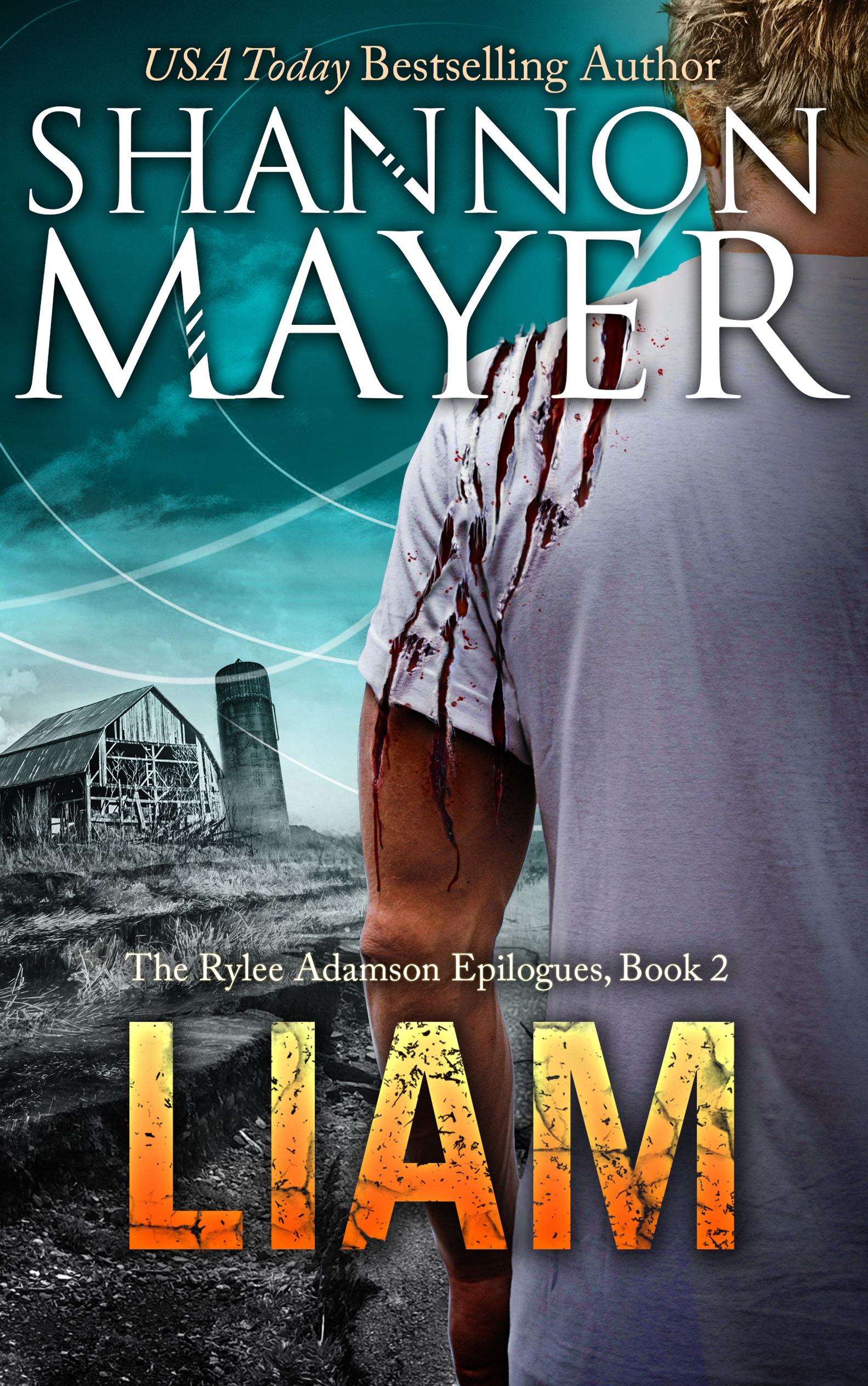 LIAM (The Rylee Adamson Epilogues, Book 2) (2016) by Shannon Mayer