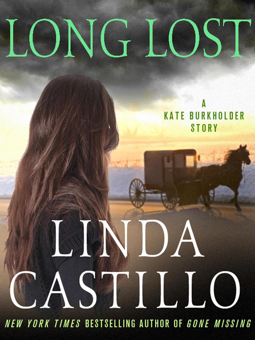Long Lost: A Kate Burkholder Short Story by Linda Castillo
