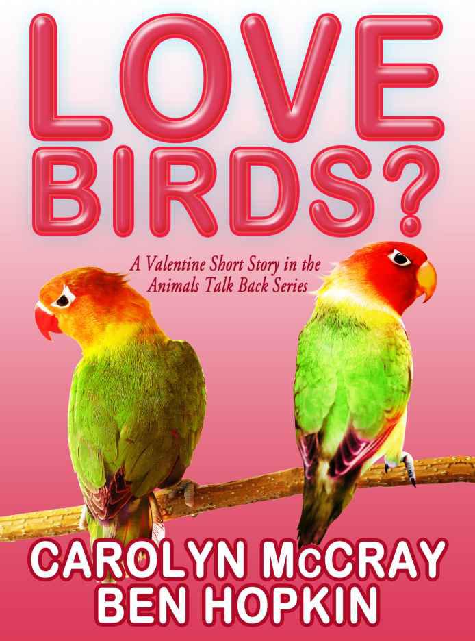 Love Birds? by Carolyn McCray