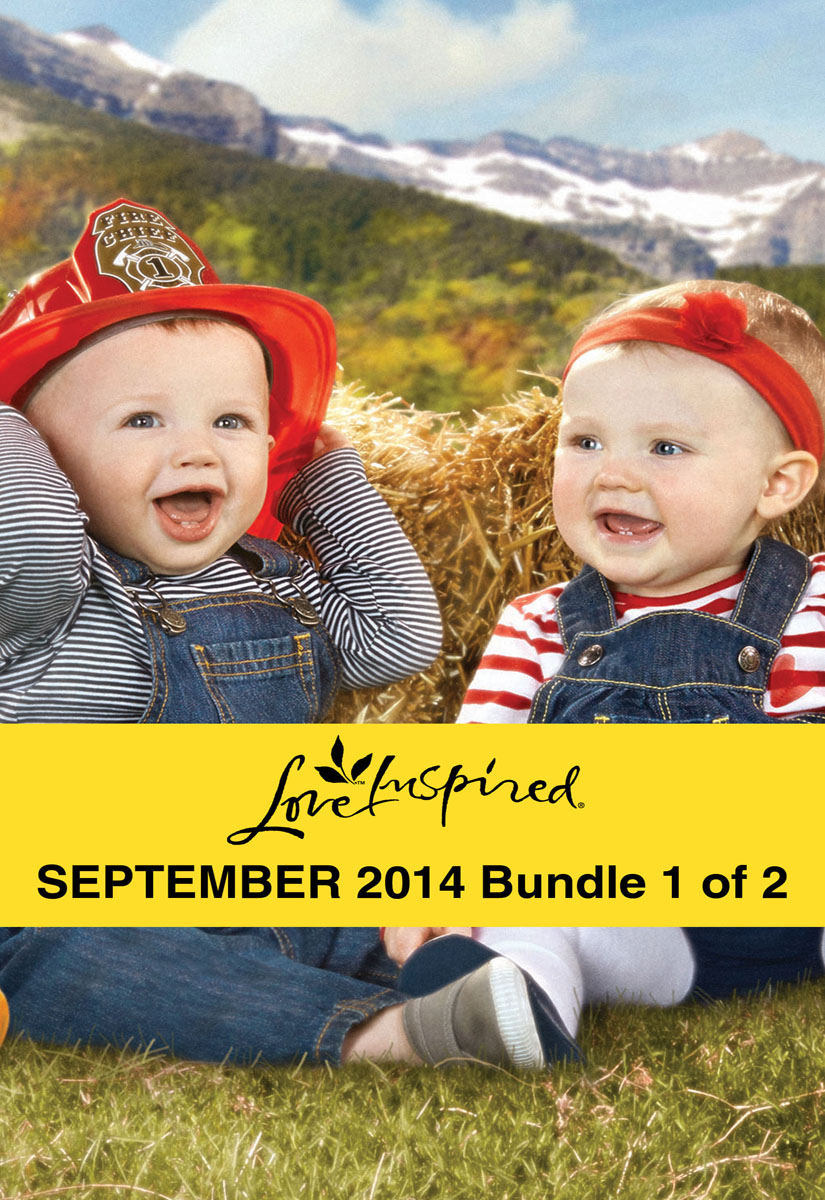 Love Inspired September 2014 - Bundle 1 of 2: Her Montana Twins\Small-Town Billionaire\Stranded with the Rancher (2014)