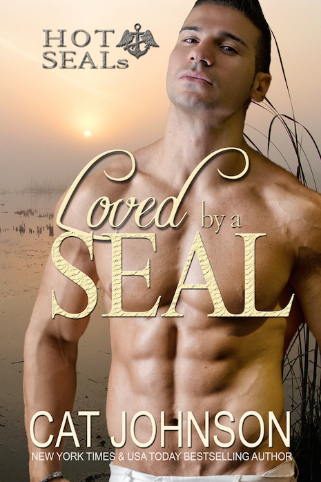 Loved by a SEAL (2015) by Cat Johnson