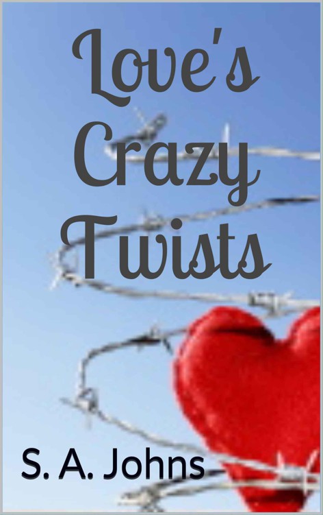 Love's Crazy Twists by Johns, S. A.