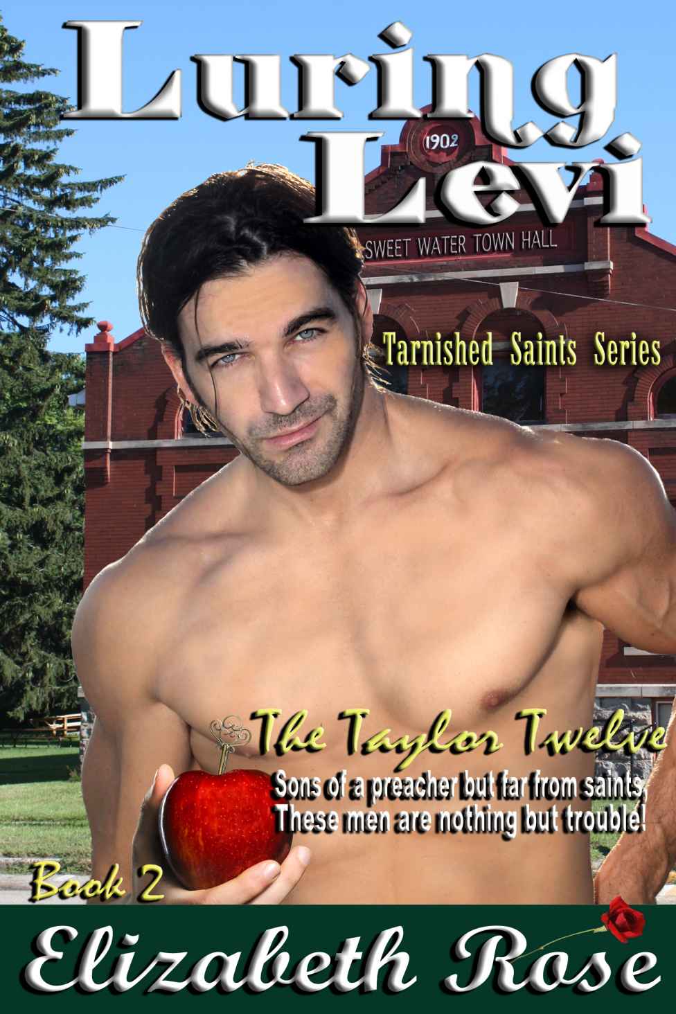 Luring Levi (Tarnished Saints Series Book 2) by Elizabeth Rose