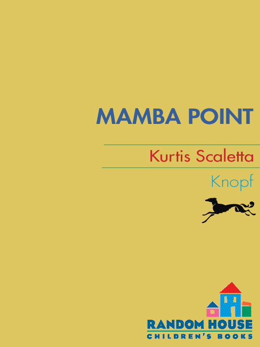 Mamba Point (2010) by Kurtis Scaletta