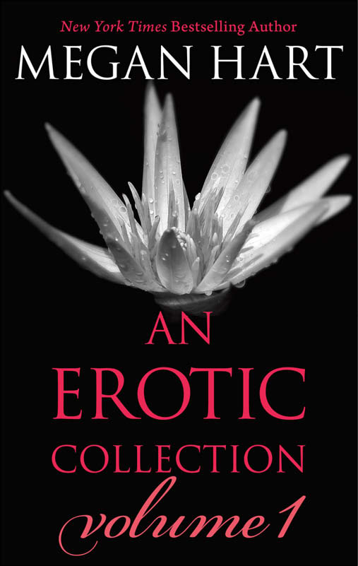 Megan Hart: An Erotic Collection Volume 1: This is What I Want\Indecent Experiment\Everything Changes\Layover (2013)