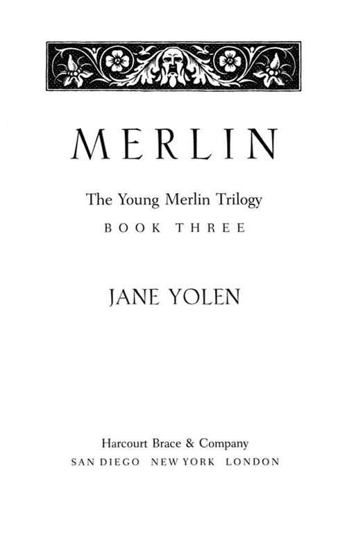 Merlin by Jane Yolen