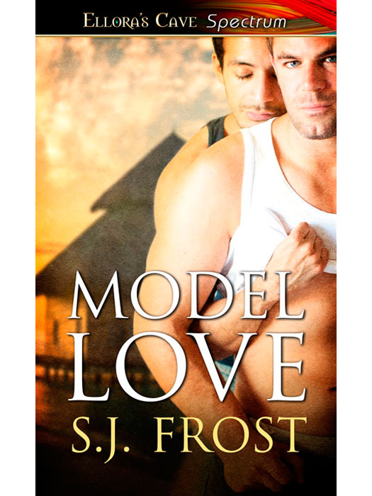 ModelLove (2013) by S.J. Frost