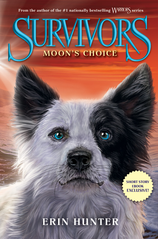 Moon's Choice (2015) by Erin Hunter