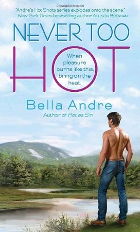Never Too Hot (2010) by Bella Andre
