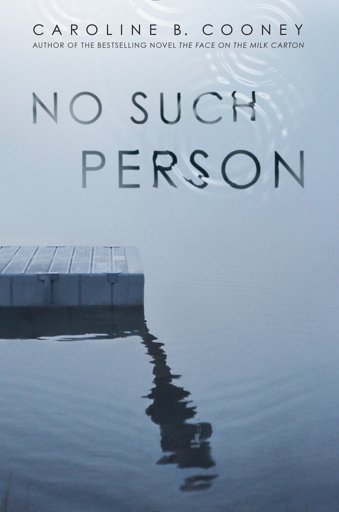 No Such Person (2015) by Caroline B. Cooney