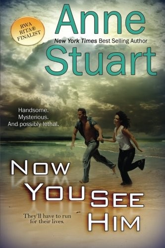 Now You See Him by Anne Stuart