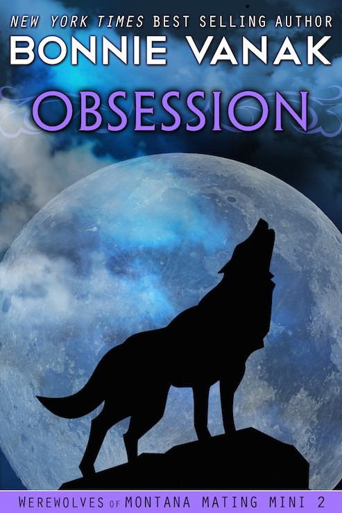 Obsession by Bonnie Vanak
