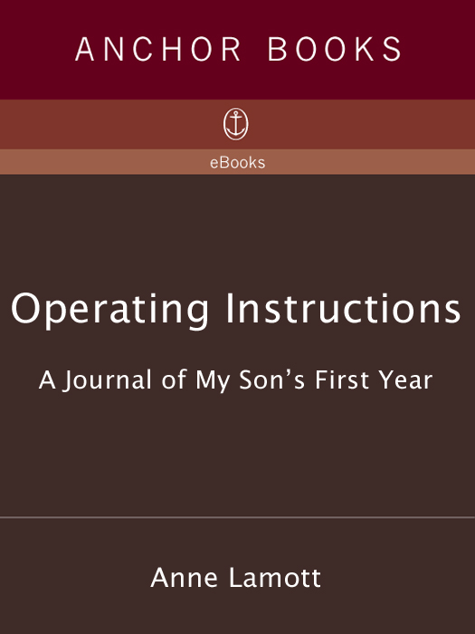 Operating Instructions (2011) by Anne Lamott