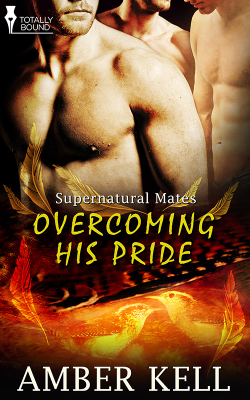 Overcoming His Pride (2014) by Amber Kell