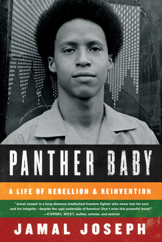 Panther Baby: A Life of Rebellion and Reinvention (2012) by Jamal Joseph
