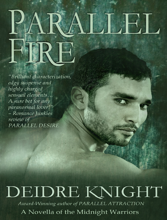 Parallel Fire (2008) by Deidre Knight