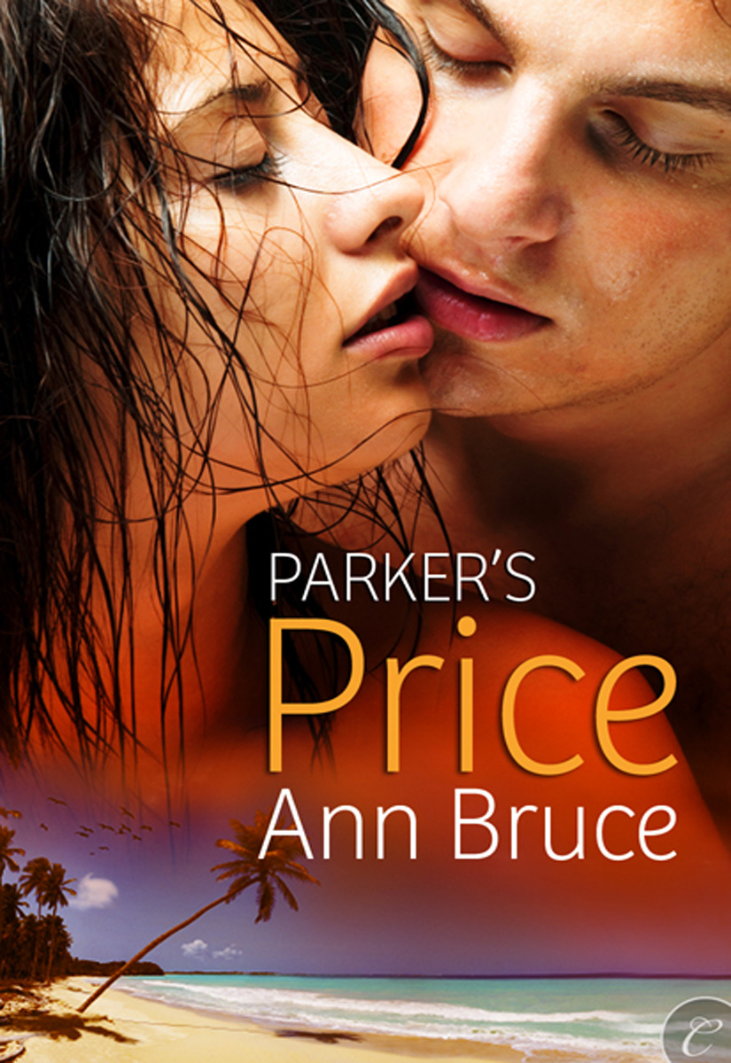 Parker’s Price by Ann Bruce
