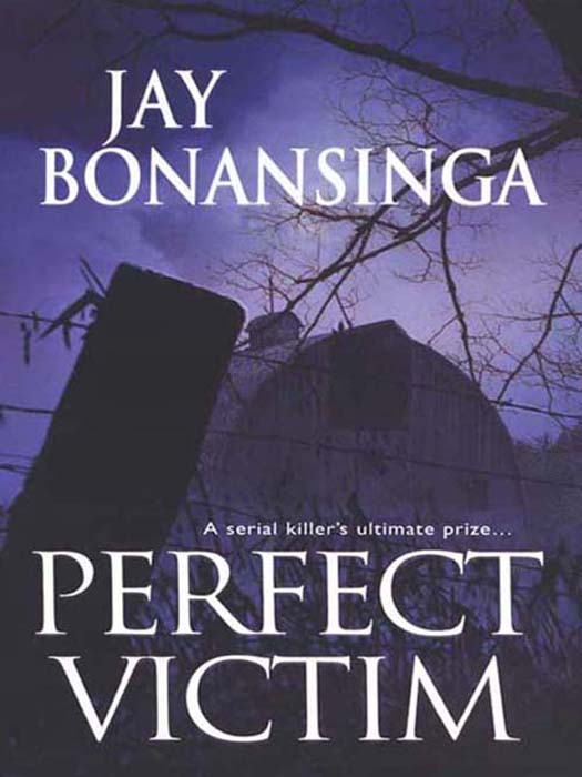 Perfect Victim (2008) by Jay Bonansinga